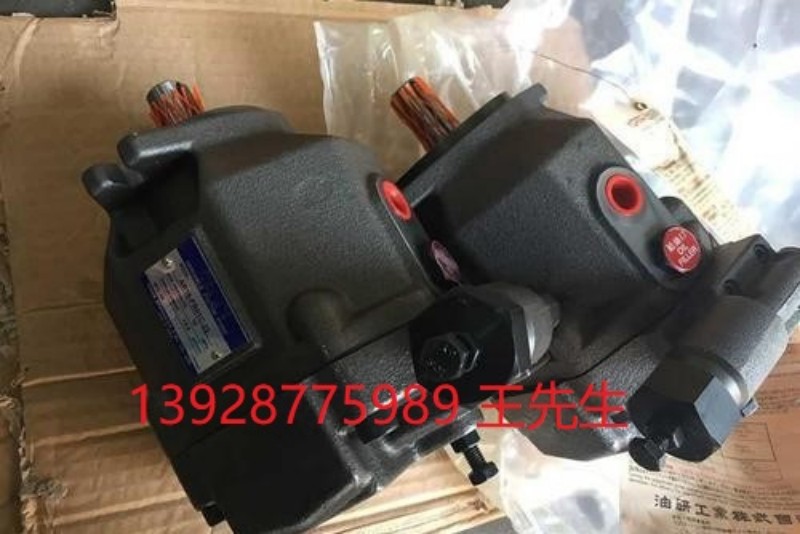 日本YUKEN油研电磁比例阀EFBG-06-500-H-5120全新原装现货 日本YUKEN油研电磁比例阀EFBG-06-500-H-5120全新原装现货 YUKEN油研手动换向阀DMG-03-3C2-40 D/B2/3/40/5/60/7/8/9/10/11