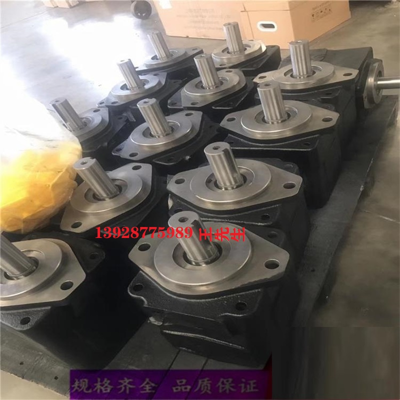 威格士叶片泵现货45V42A1A22 45V42A1C22R 45V42A86A22R 45V45A1A22R  插装阀SV580000 SV5-8-0S-0-00 威格士SV5-8-0S-0-24DGS SV580S000  插装阀SV580000 SV5-8-0S-0-00 威格士SV5-8-0S-0-24DGS SV580S000