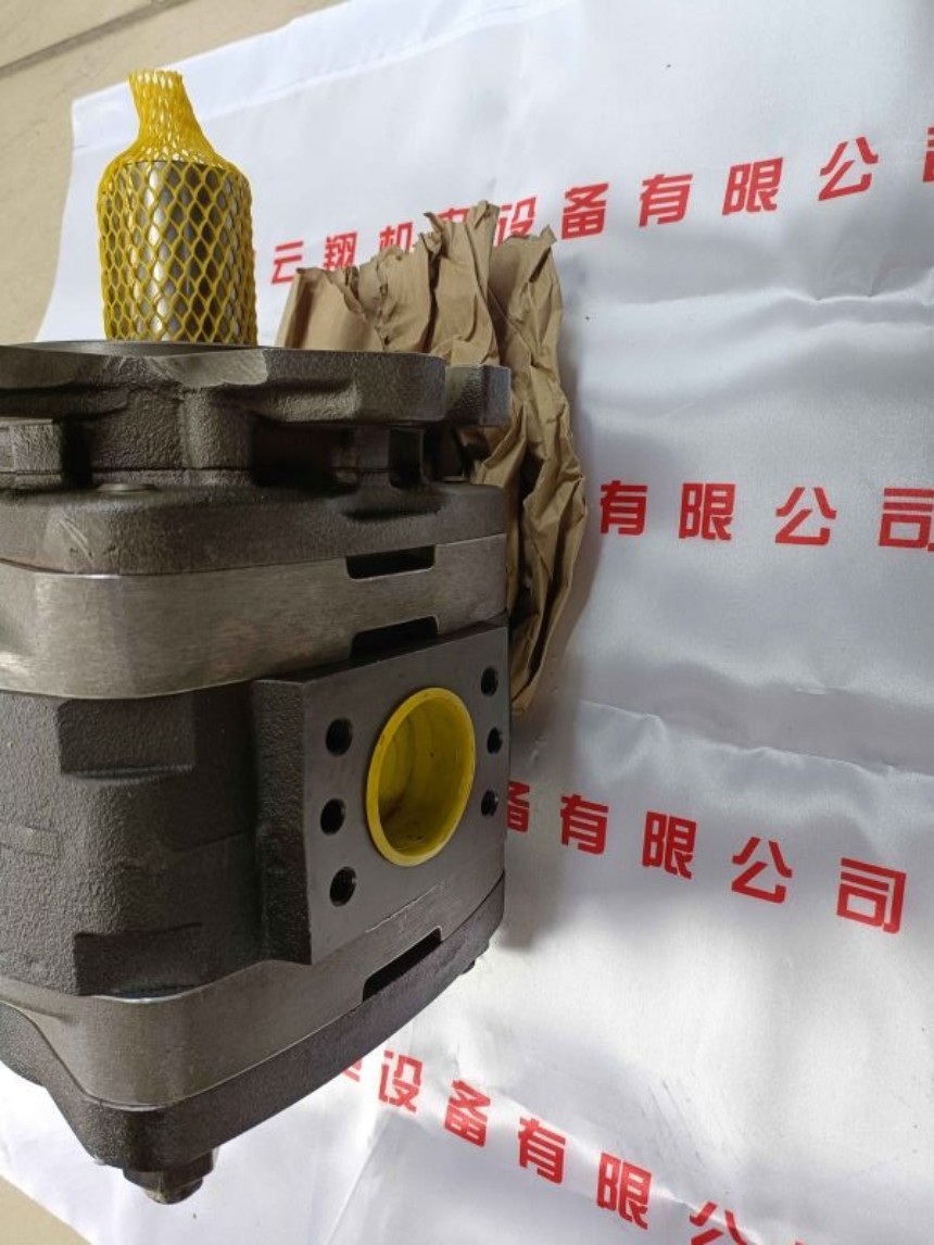 IPVP5-40-111福伊特齿轮泵 IPVP5-50-101福伊特齿轮泵 IPVP5-50-111福伊特齿轮泵