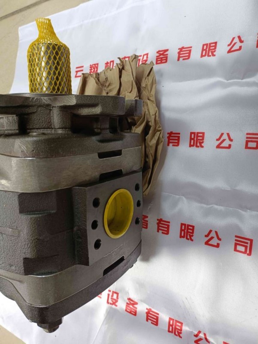 福伊特齿轮泵IPVS5-40-101 福伊特齿轮泵IPVS5-40-111 福伊特齿轮泵IPVS5-50-101