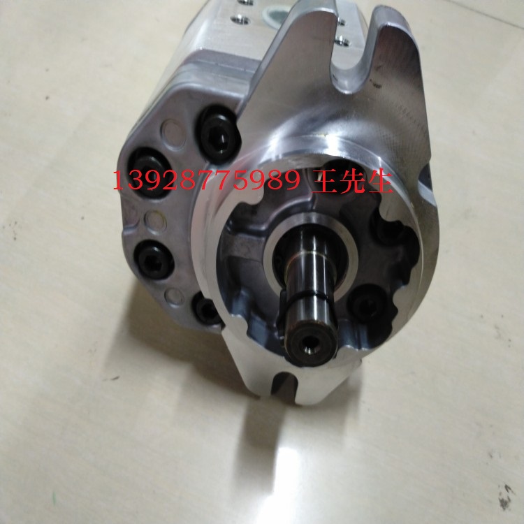 马祖奇ALP2-D-25齿轮泵