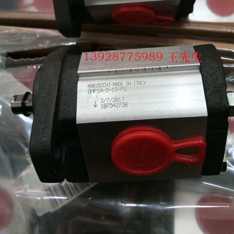 马祖奇ALP2-D-40齿轮泵 