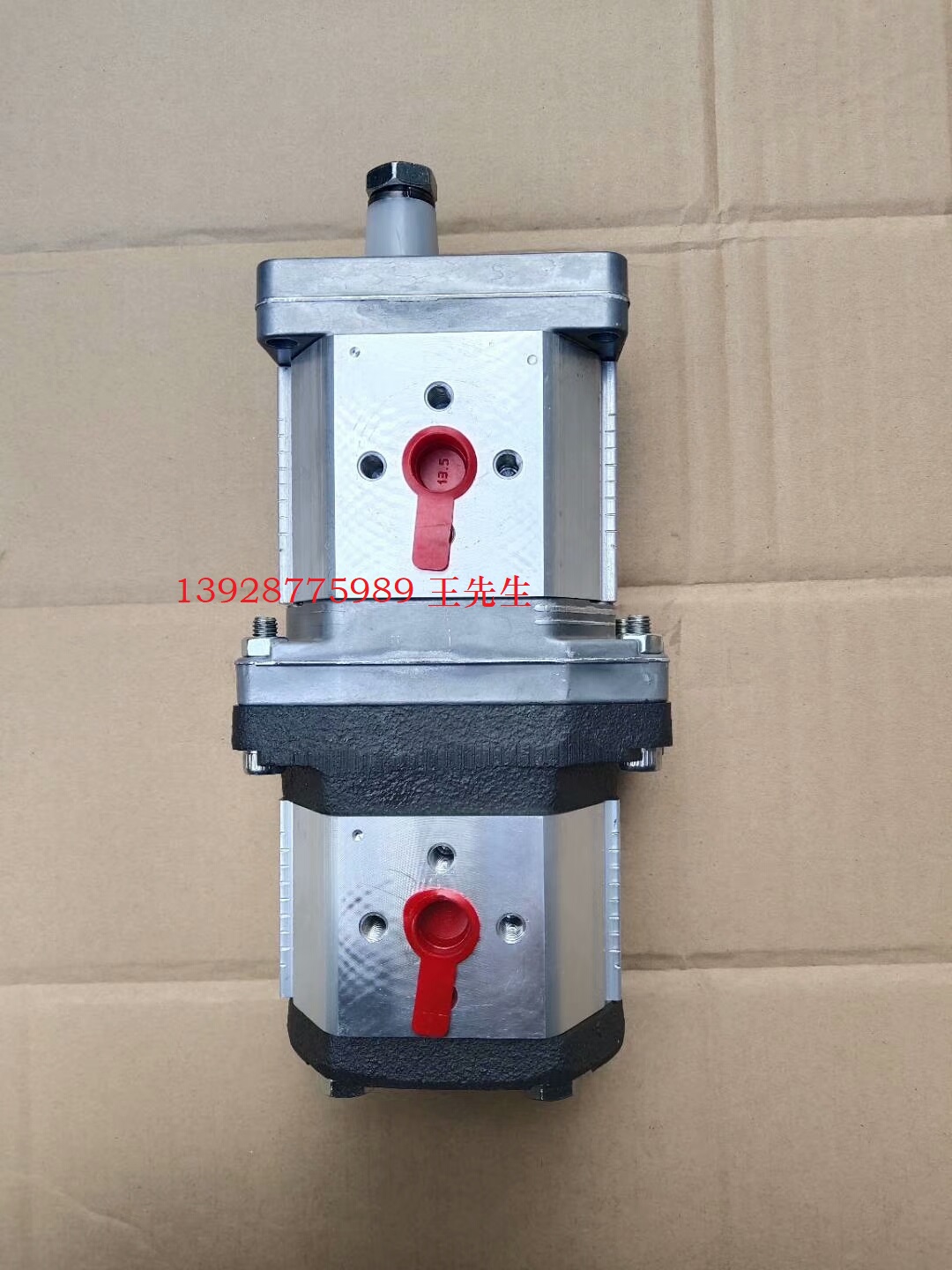 ALP2-D-40 马祖奇齿轮泵